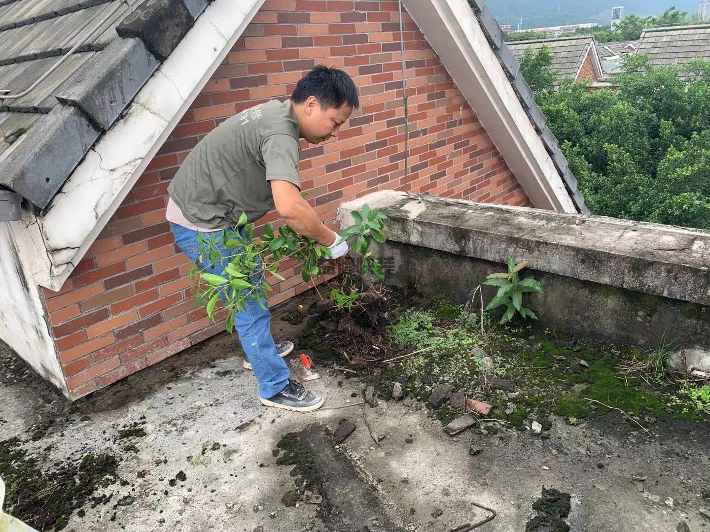 老樓的房頂漏雨，一到下雨天苦不堪言，求支招